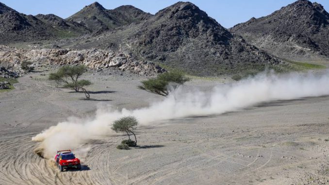 LOEB SHAKEDOWN