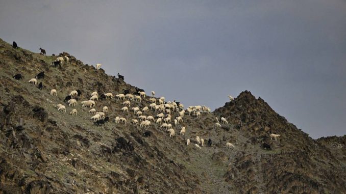 PAYSAGE2 LEG2