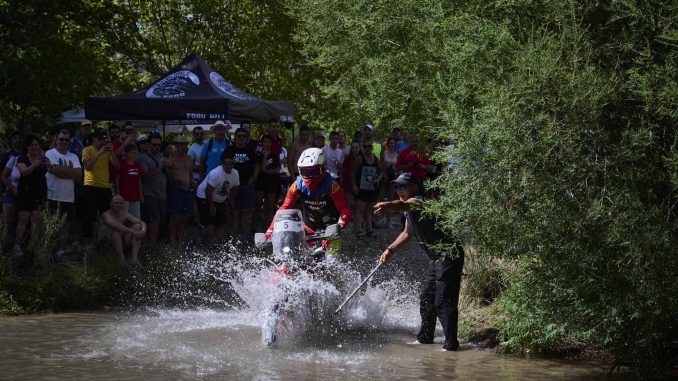 Todos los derechos reservados