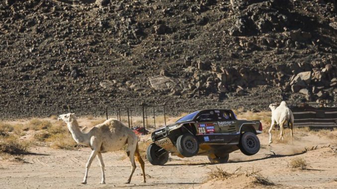 CHICHERIT LEG12