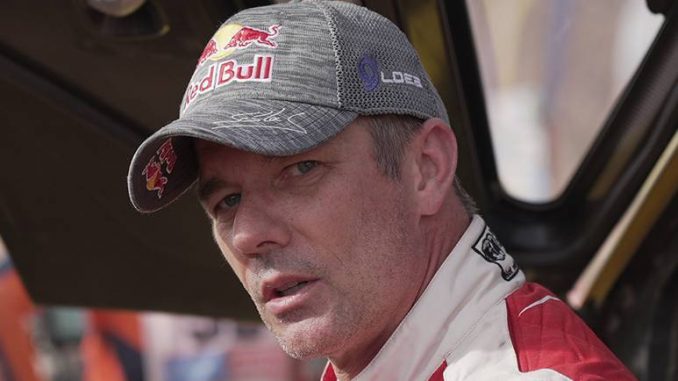 LOEB TETE LEG8