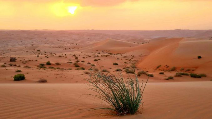 ARABIE SAOUDITE1