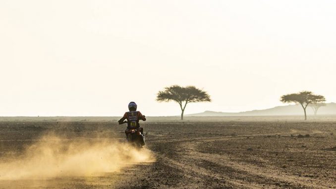 BENAVIDES LUCIANO LEG8