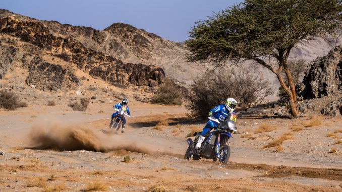 SHERCO LEG8