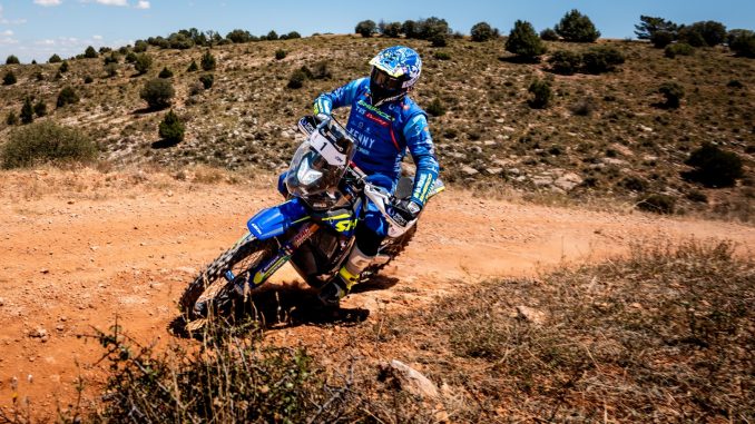 SANTOLINO BAJA ARAGON 2025